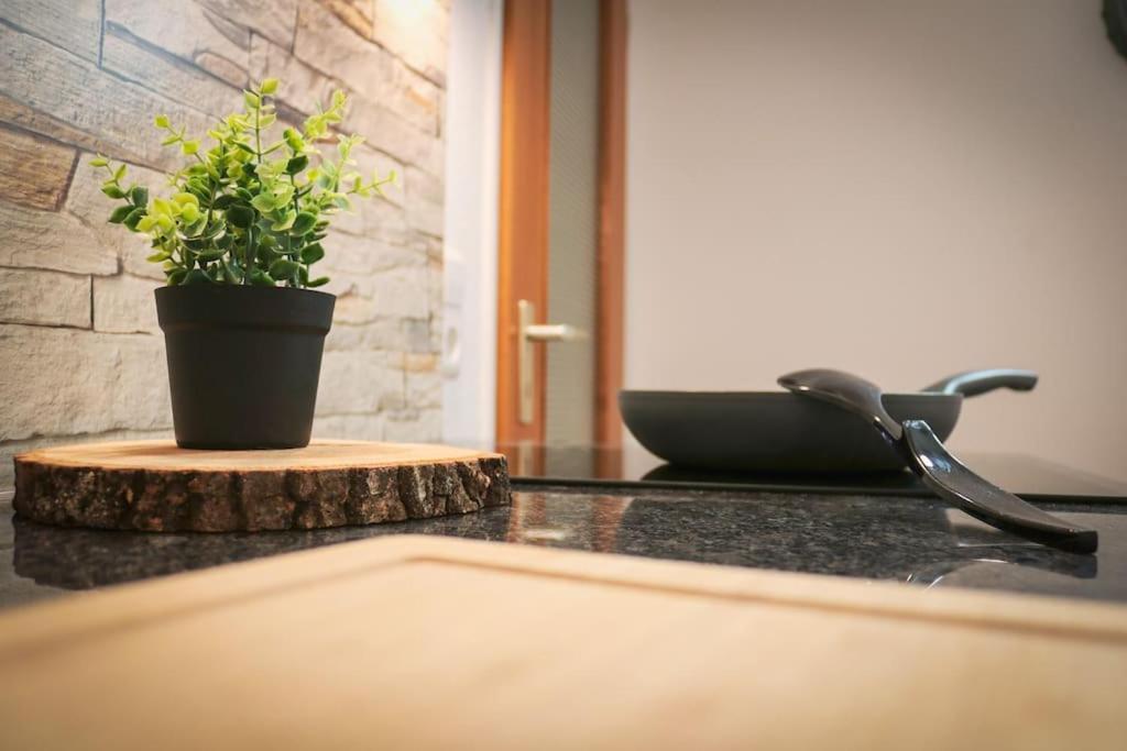 Apartement Nathalie - Wellness Mit Pool Und Sauna Schluchsee Eksteriør bilde