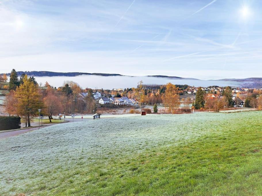 Apartement Nathalie - Wellness Mit Pool Und Sauna Schluchsee Eksteriør bilde